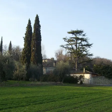 Bonu Gabriele